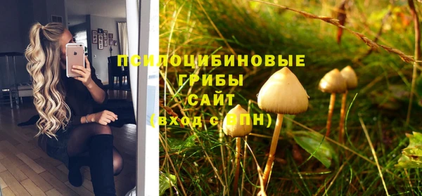 ПСИЛОЦИБИНОВЫЕ ГРИБЫ Вяземский