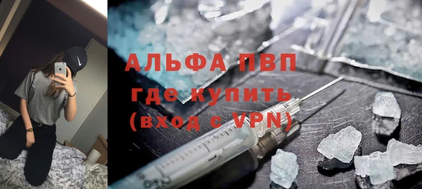 ПСИЛОЦИБИНОВЫЕ ГРИБЫ Вяземский