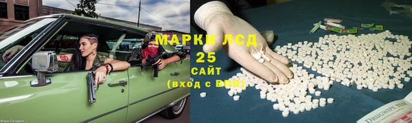 ПСИЛОЦИБИНОВЫЕ ГРИБЫ Вяземский